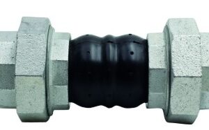 Giunto elastico filettato f/f 1''
