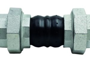 Giunto elastico filettato f/f 2''